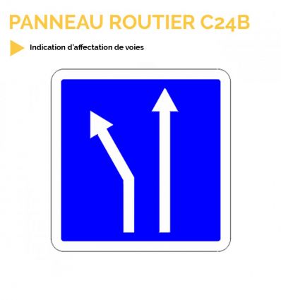 C24B - EX1-2 - Panneau d'indication d'affectation de voies