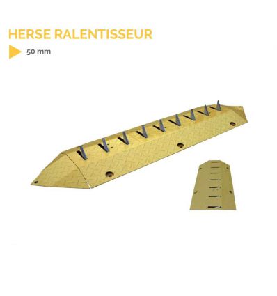 Herse ralentisseur métallique anti marche arrière 50 mm de haut