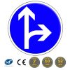 B21d1 - Panneau direction obligatoire d'aller tout droit ou à droite