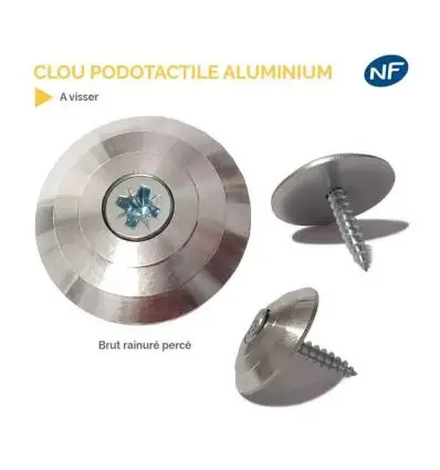 Clou Podotactile à Visser pour Support en Bois en Aluminium