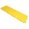 Bordure jaune femelle
