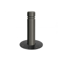 Photo : Borne escamotable manuelle double gorge Gris Procity