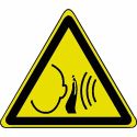 Photo : Pictogramme Danger bruit - W038 Autocollant - △ 80 mm
