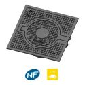 Photo : Regard de branchement C250 250 mm