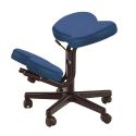 Photo : Siège Assis-Genoux Médical Ergonomique Bleu - - de 1,85 m - Sans - Sans