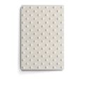 Photo : Dalle Podotactile Béton