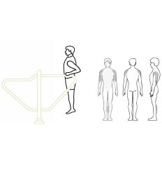 Barre parallèle muscles sollicités