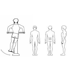 Module balancelle fitness muscles sollicités