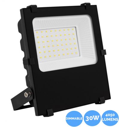 Projecteur LED Dimmable 30W 145 lm/W IP66