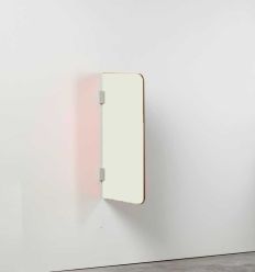 Séparateur Urinoir Stratifié Fixation Mur Blanc