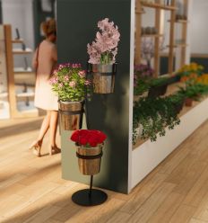 Présentation Fleurs Coupées en Seaux Fleuristerie