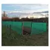 Utilisation du grillage pour délimiter un potager