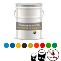 Photo : Peinture Routière Solvantée en Couleur sans toluène Jaune signalisation RAL 1023 - 5 kg