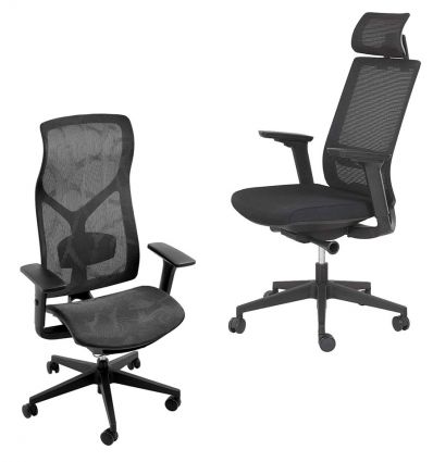 Chaise de bureau professionnel ergonomique 1
