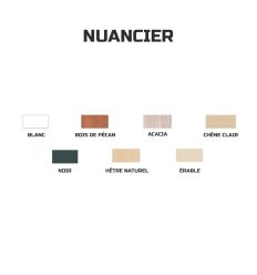 nuancier