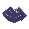 Photo : Guirlande drapeau Europe Plastique - 10 pavillons 20 x 30 cm (5m)