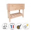 Bac Potager Surélevé en Bois