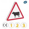 Panneau A15a1 - Passage d'Animaux Domestiques vache