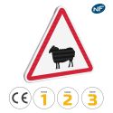 Photo : A15a2 - Panneau passage d'Animaux Domestiques Mouton 500 mm (2 rails au dos) - Classe 1 (T1) - Dos brut