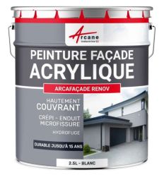 Peinture façade professionnelle