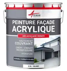 Peinture façade professionnelle