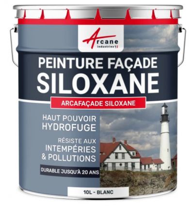 Peinture façade professionnelle