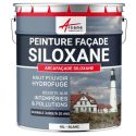 Photo : Peinture façade professionnelle Blanc crème RAL 9001 - Acrylique et Siloxane - 10 L