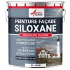 Peinture façade professionnelle