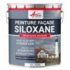 Peinture façade professionnelle