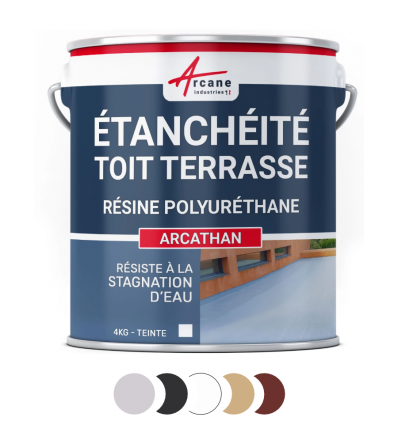 Couv résine étanchéité toiture colorée