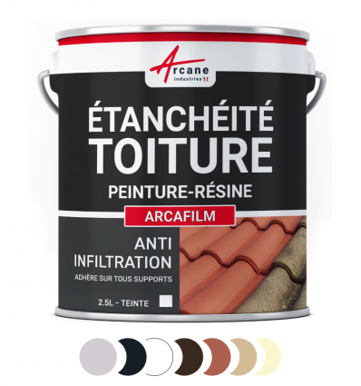 Peinture résine d'étanchéité toiture gris, ardoise, blanc, brun, tuile, paille, pierre de taille