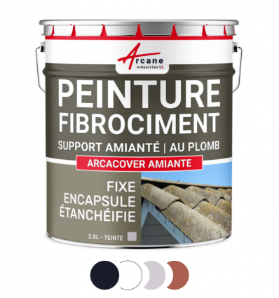 Peinture fibrociment amiante ardoise, blanche, grise, tuile