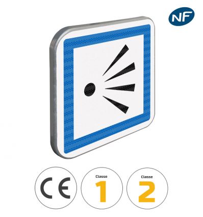 CE21 - Panneau point de vue exceptionnel - Pictogrammes