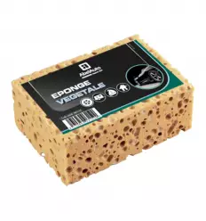 Éponge lavage voiture
