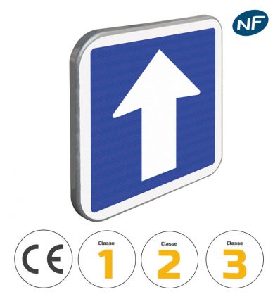 C12 - Panneau d'indication de circulation à sens unique avec pictogrammes de classes et normes