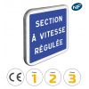 C51A - Panneau d'indication de section à vitesse régulée avec pictogrammes de classes et normes