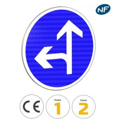 B21d2 - Panneau direction obligatoire : tout droit ou à gauche