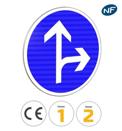 B21d1 - Panneau Direction Obligatoire Tout Droit ou à Droite