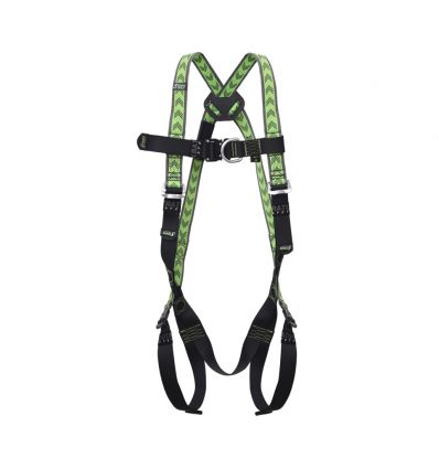 Harnais de sécurité anti chute standard 2 points d'accorchage - face