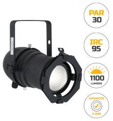 Projecteur PAR 30