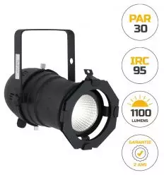 Projecteur PAR 30