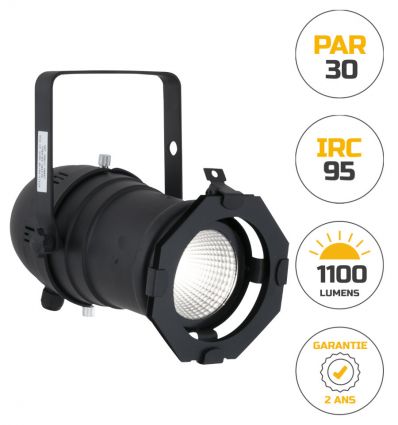 Projecteur PAR 30
