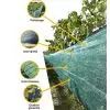 Avantages du Filet anti grele pour vigne