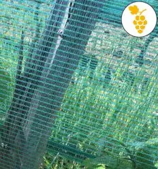 Filet anti grele pour vigne