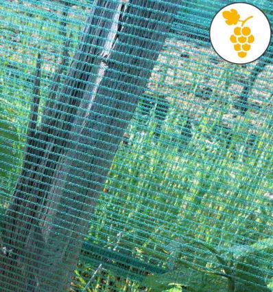 Filet anti grele vert pour vigne