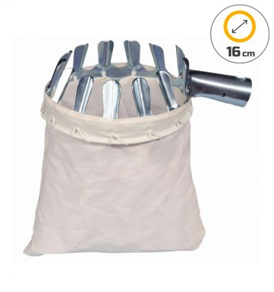 Perche cueille fruit