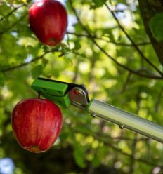 Sécateur élagueur cueille-fruits