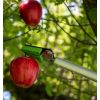 Sécateur élagueur cueille-fruits