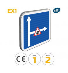 C24c - Panneau d'indication conditions particulières de circulation sur voie embranchée EX1