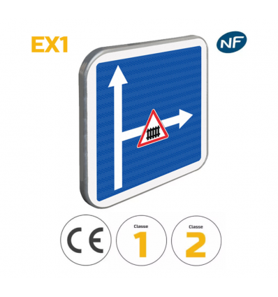 C24c - Panneau d'indication conditions particulières de circulation sur voie embranchée EX1